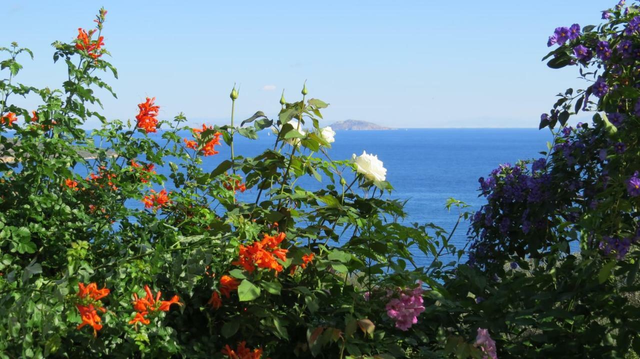 Villa Irini Epidaurus Ngoại thất bức ảnh